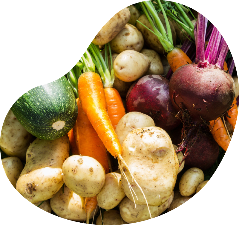 Natural background of fresh vegetables. Selective focus. Horizontal. Top view. Natural background of fresh vegetables. Selective focus. Horizontal. Top view.<br />